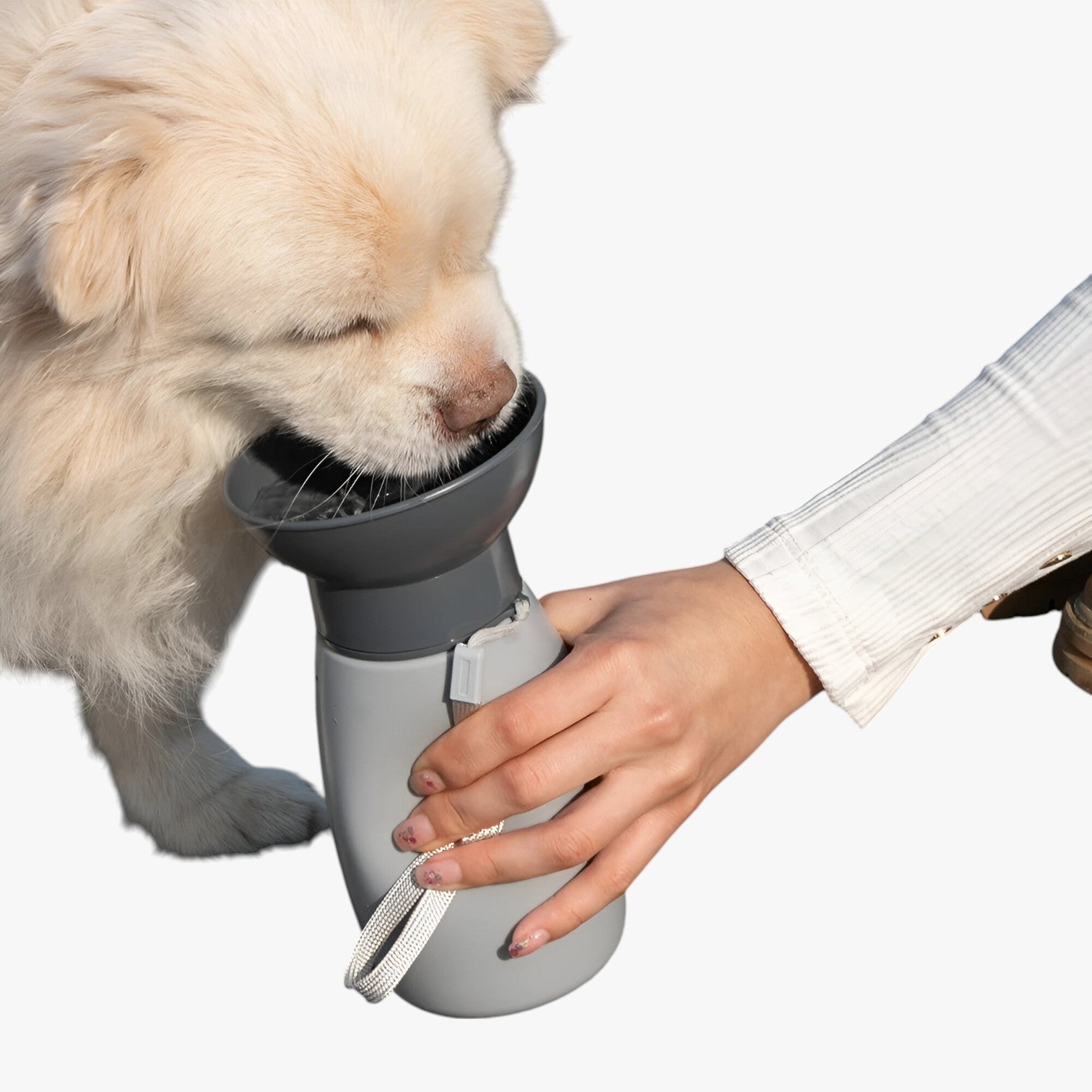 Theo | Borraccia Portatile per Cani e Gatti Dispenser d’Acqua da Esterno - - pet PET SUPPLIES petproduct Pets - Concept Palermo