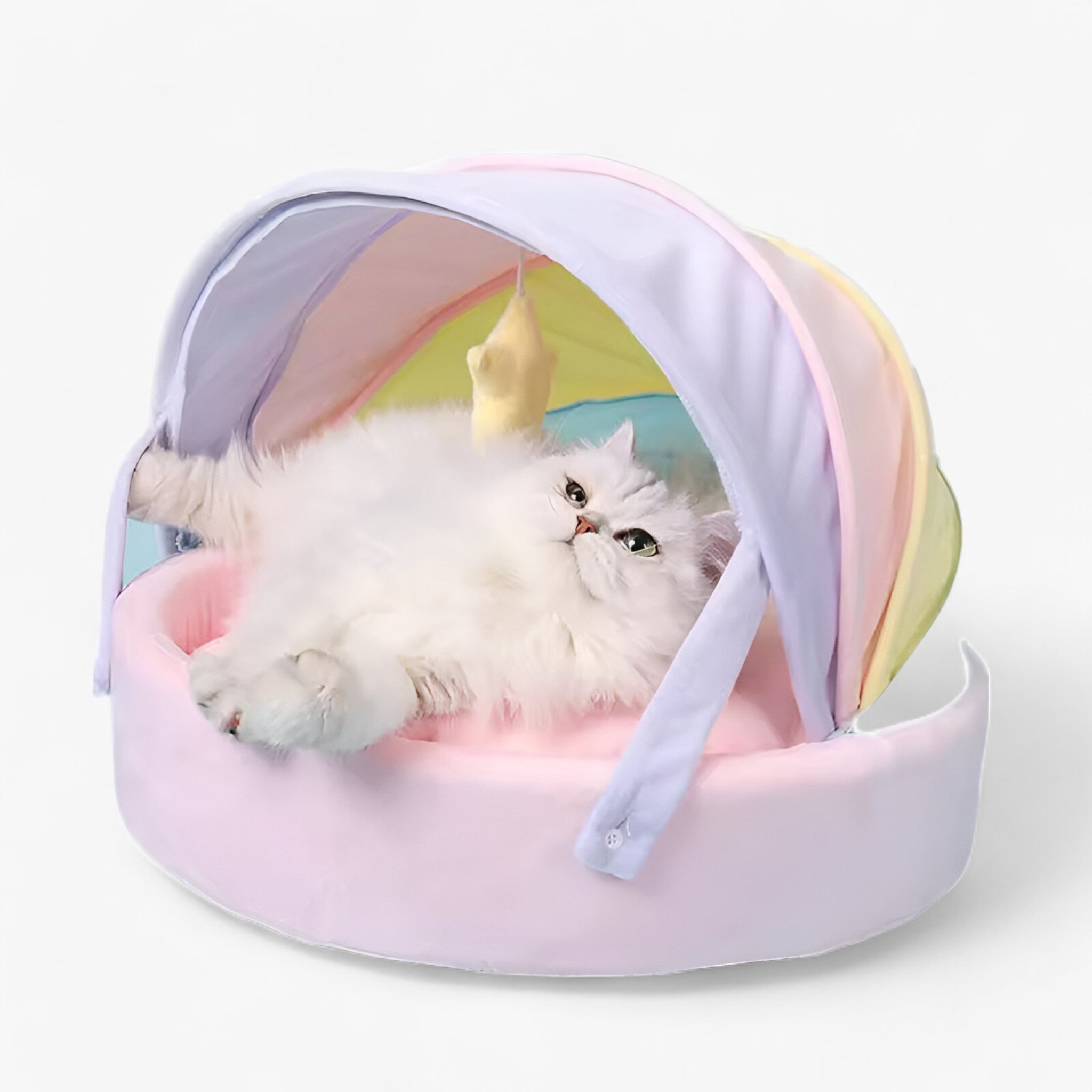 PuffyPaws™ | Casa per Gatti Rainbow - Comfort e Calore per il Tuo Animale Domestico - - - Concept Palermo