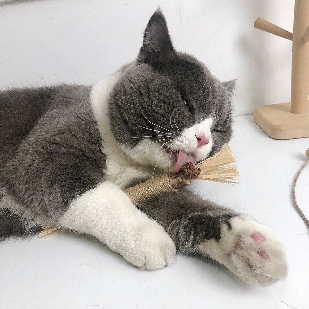 KittyBliss™ | Dai alla tua Gatta il Massimo Divertimento con il Grattatoio - 1-pacco - cat toys pet toys - Concept Palermo