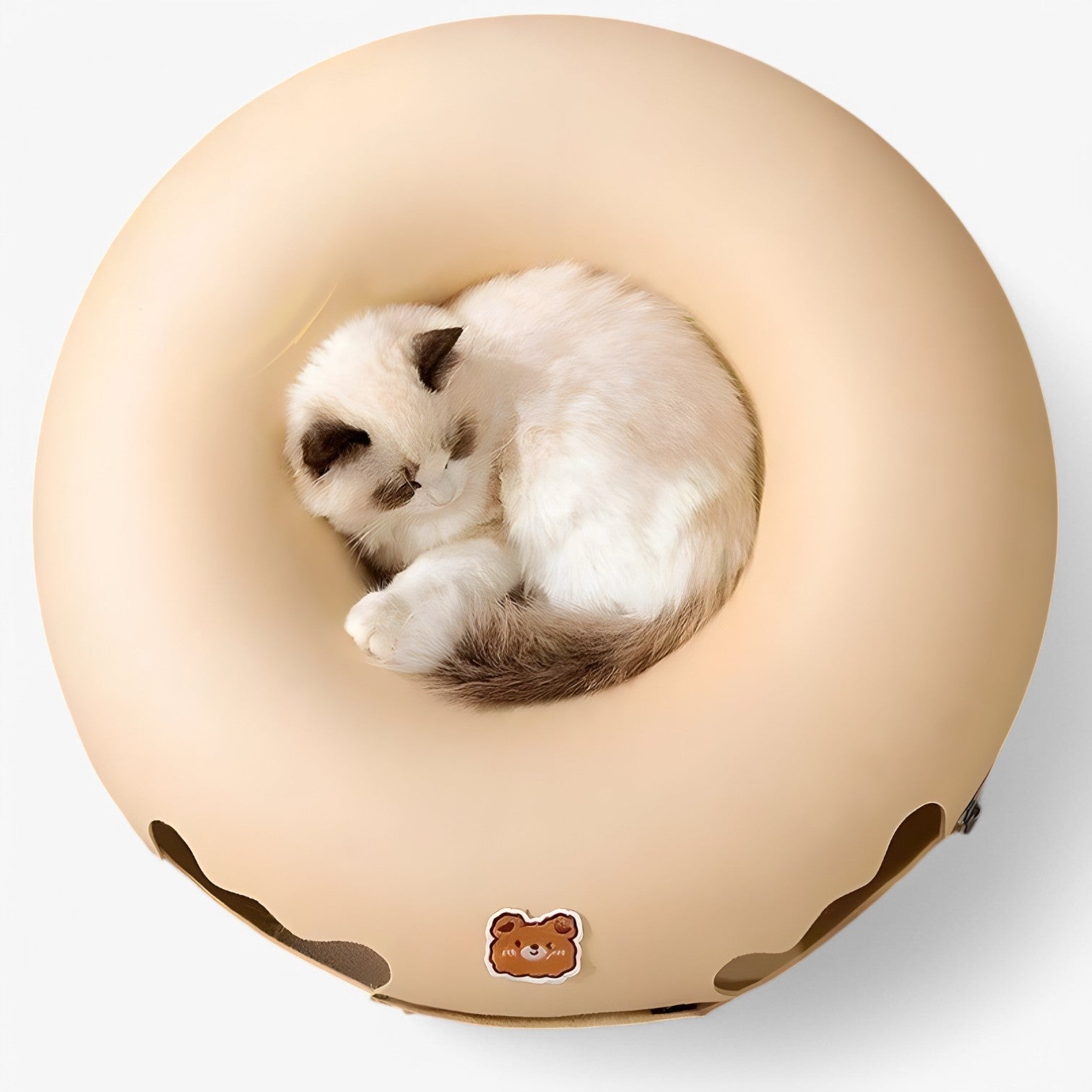 Maggie | Letto per gatti interattivo schiccoso: giocare, rilassarsi e scoprire - - cat pet PET SUPPLIES - Concept Palermo