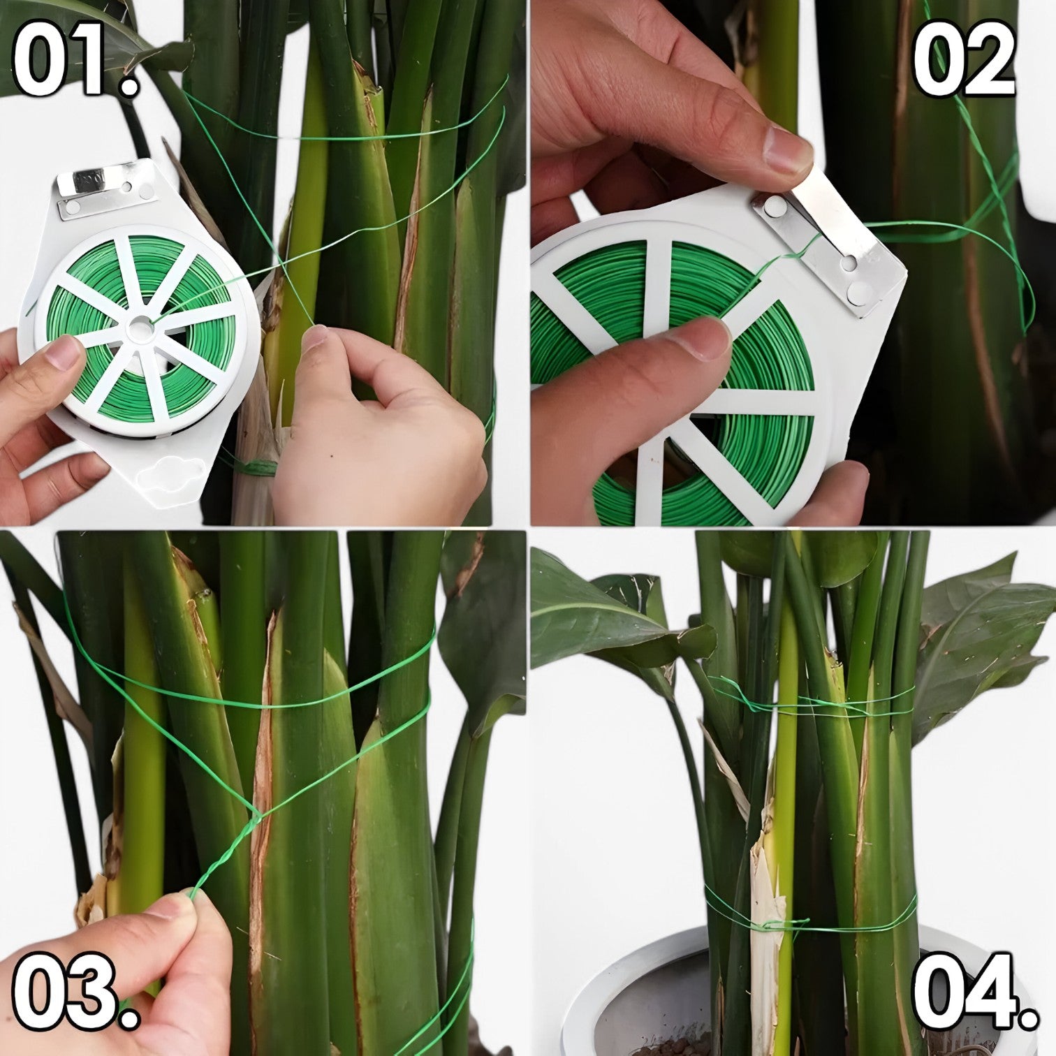 Dariel | Pianta da Giardino con Filo e Strumento da Taglio per Sostegno - - Garden Garden accessories Home & Garden - Concept Palermo