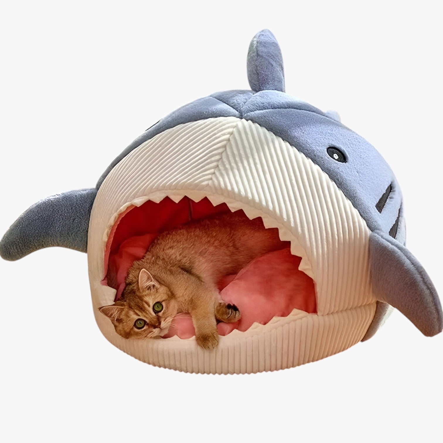 Colin | Cuccia per gatti calda e accogliente - - pet pet bed PET SUPPLIES pet's bed petproduct Pets - Concept Palermo