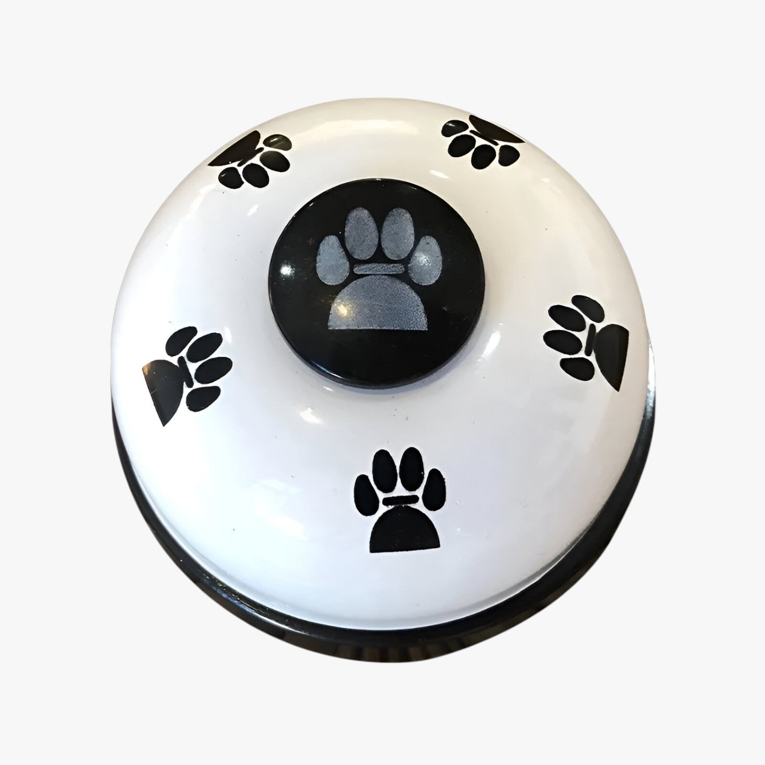 Cordelia | Allenatore per Animali Domestici Promemoria di Ora di Pasti & Divertimento Interattivo - Bianco - animali domestici - Concept Palermo