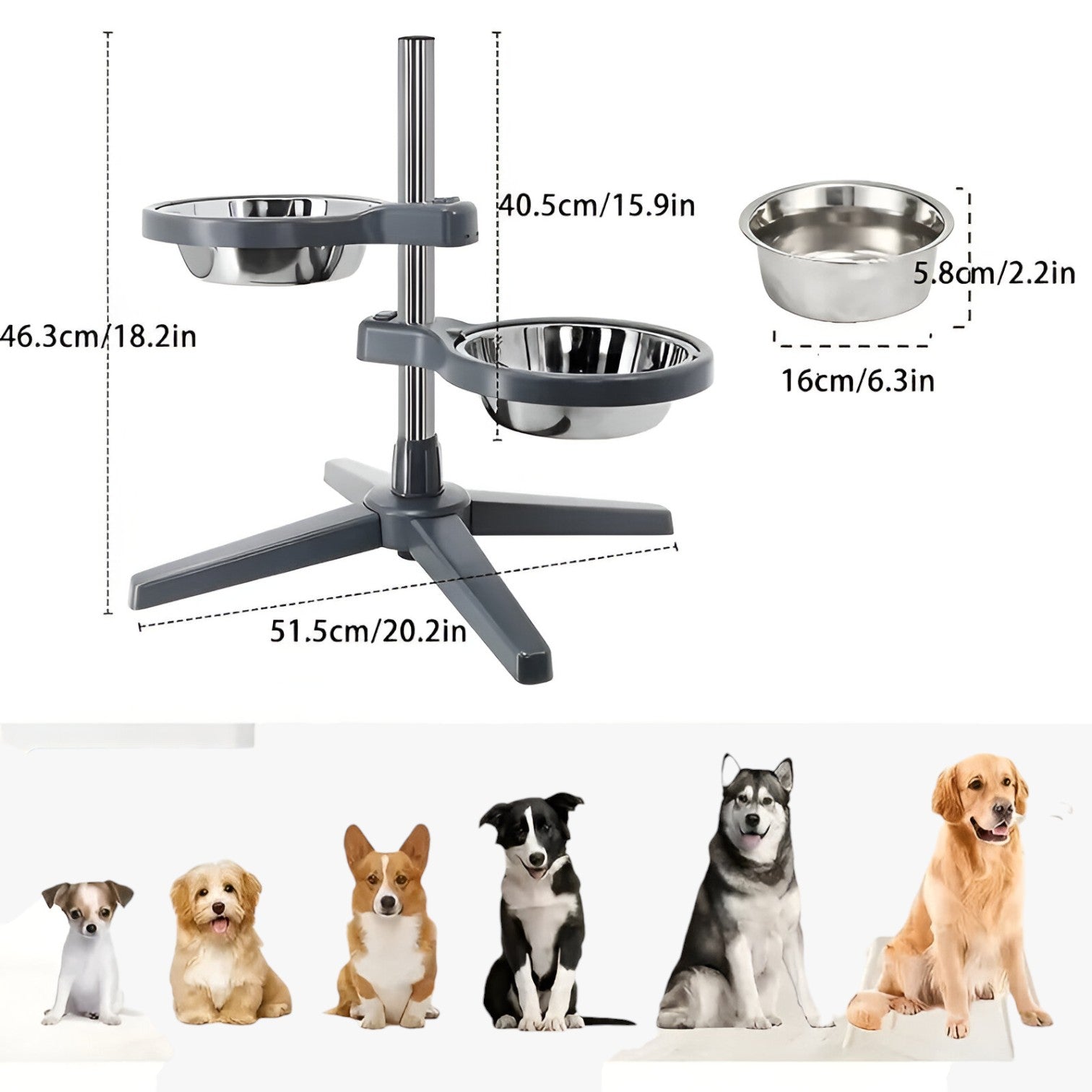 Zircon | Ciotola per Cani Regolabile con Ciotole in Acciaio Inox Ergonomica e Durevole - - animali domestici - Concept Palermo