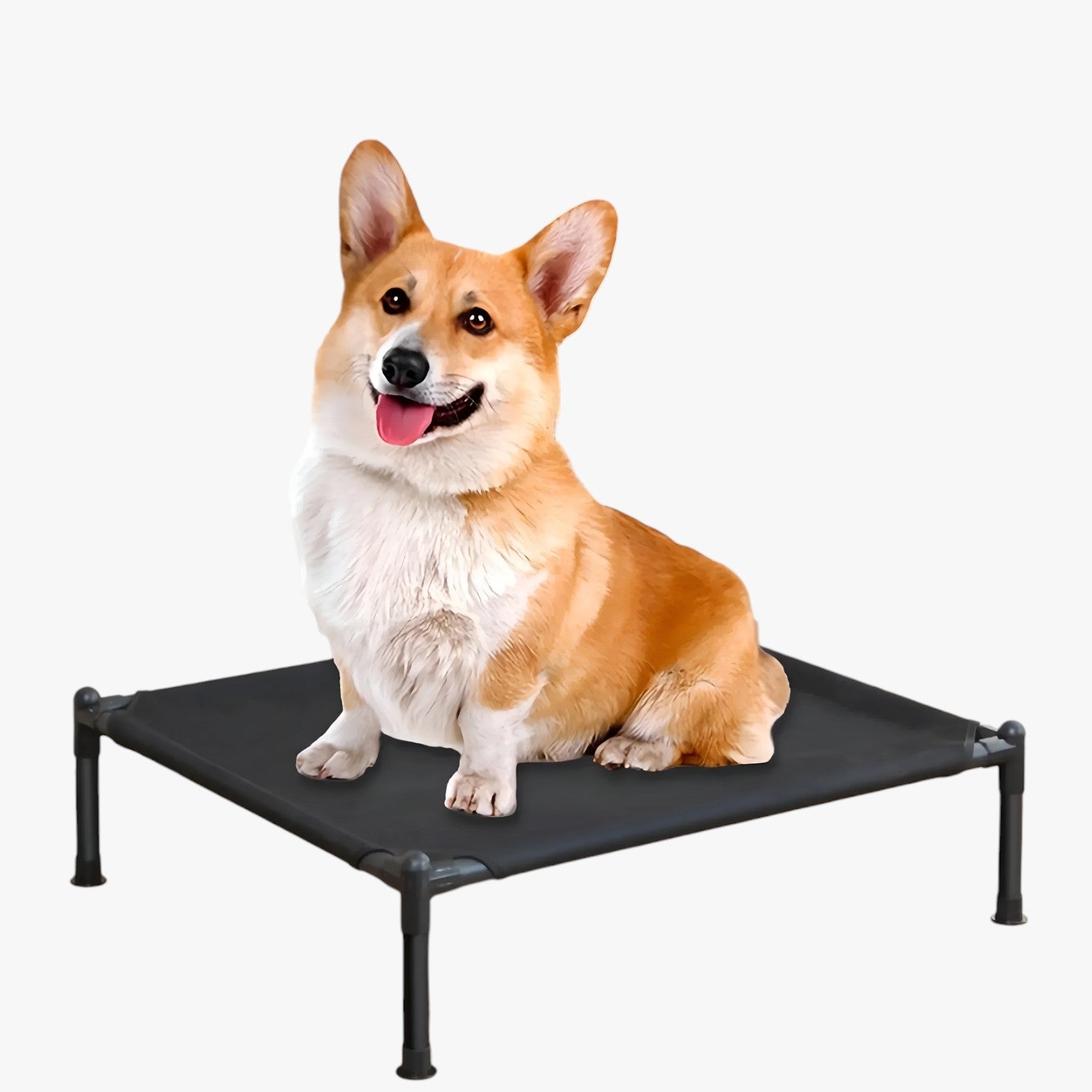 Lincoln | Letto portatile per animali domestici da esterno, pieghevole, lavabile e comodo da portare in viaggio - - pet pet beds PET SUPPLIES petproduct Pets - Concept Palermo