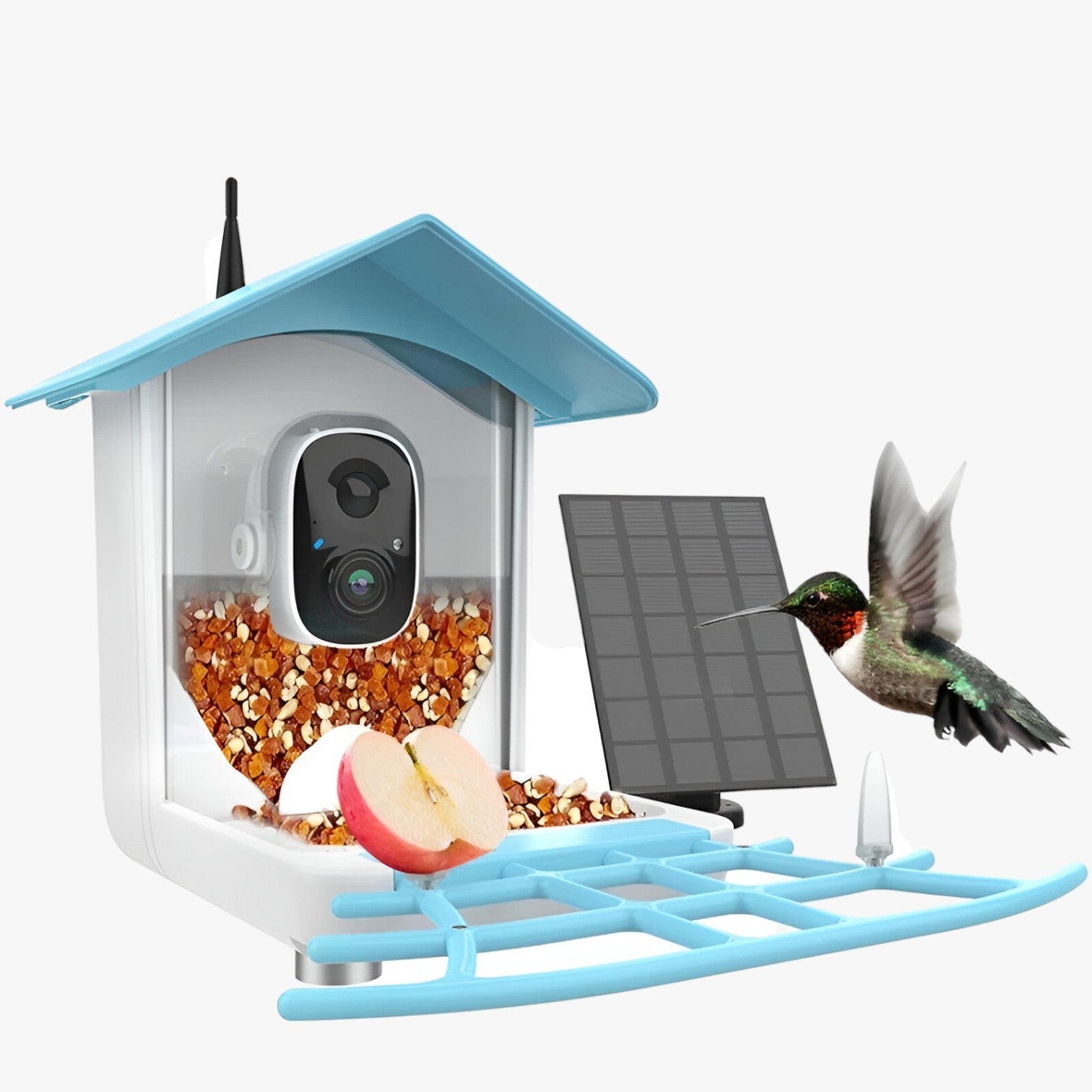Levin | Sicurezza e Piacere per gli Uccelli – Telecamera solare con mangiatoia per uccelli - - camera gadget - Concept Palermo