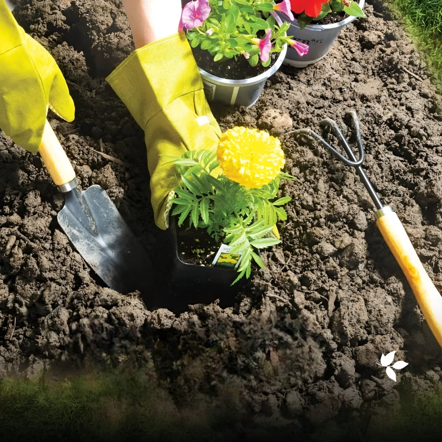 Rosendo | Set da giardino tutto-in-uno – Giardinaggio confortevole ed efficiente - - Garden Garden supplies Home & Garden - Concept Palermo
