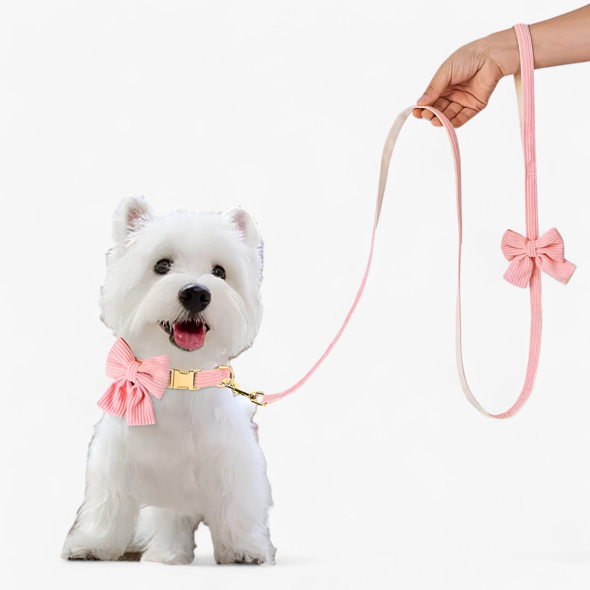 Luna | Set Collare e Guinzaglio Rosa Chiaro per Cani Piccoli e Medi - - - Concept Palermo