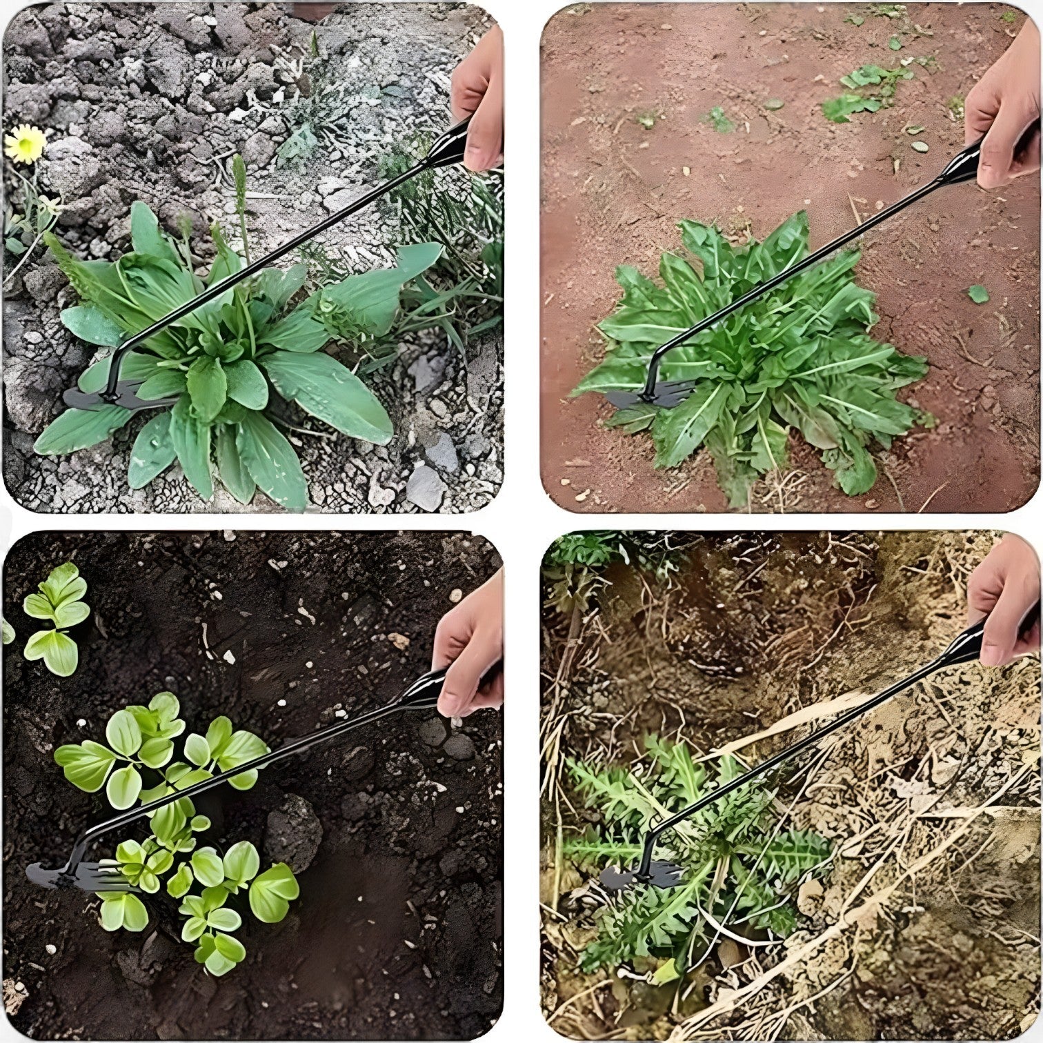 Andrin | Zappa da giardino multifunzionale – Estirpazione delle erbacce efficiente, meno sforzo - - Garden supplies garden tools Home & Garden - Concept Palermo