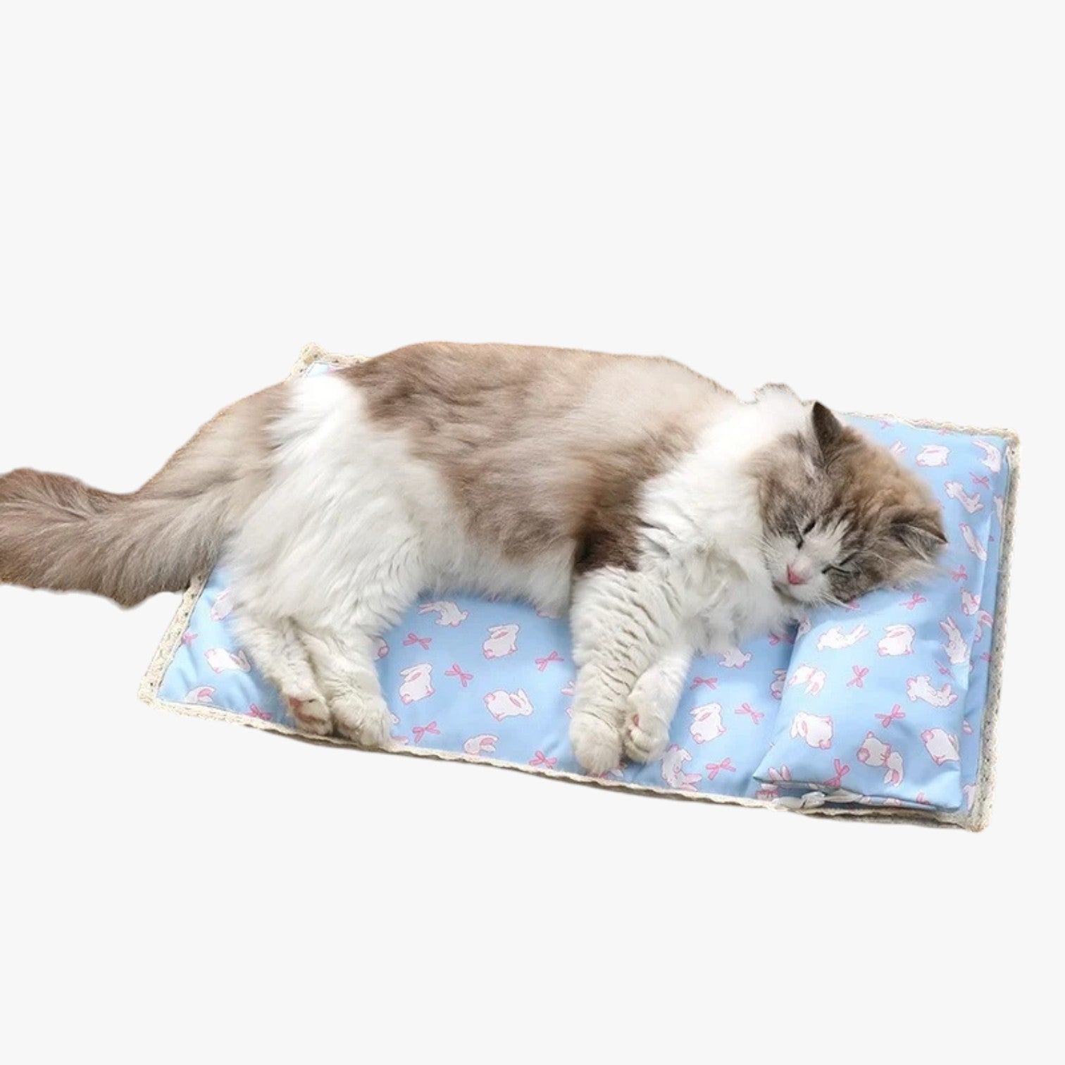 Frankie | Coperta Estiva Rinfrescante per Gatti e Cani - - pet pet bed pet beds pet's bed petproduct - Concept Palermo