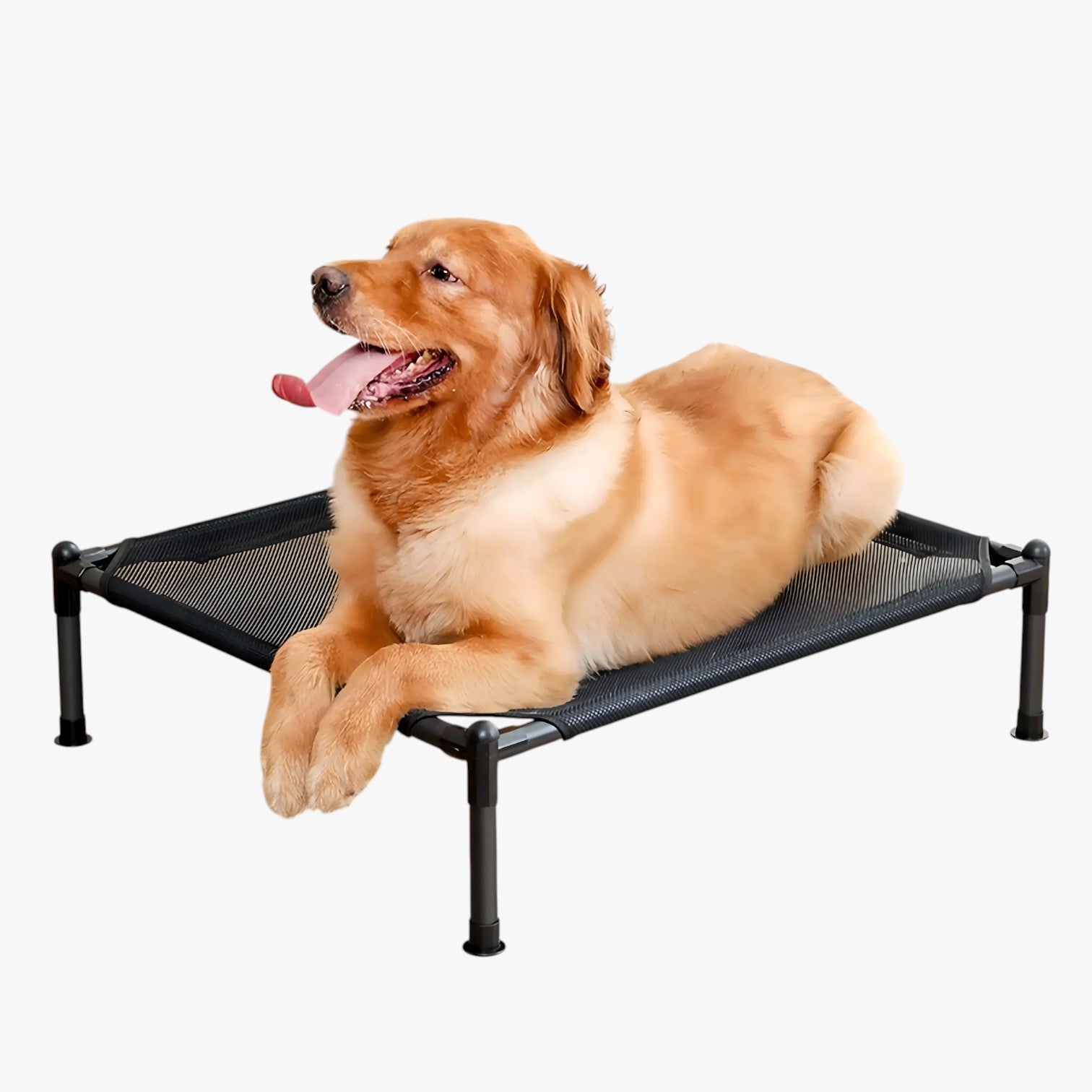 Lincoln | Letto portatile per animali domestici da esterno, pieghevole, lavabile e comodo da portare in viaggio - - pet pet beds PET SUPPLIES petproduct Pets - Concept Palermo