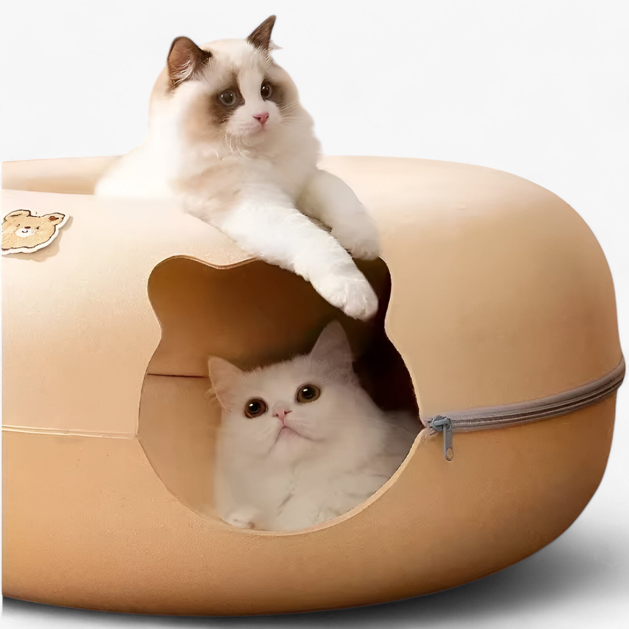 Mia | Giocattolo interattivo a tunnel per gatti - - - Concept Palermo