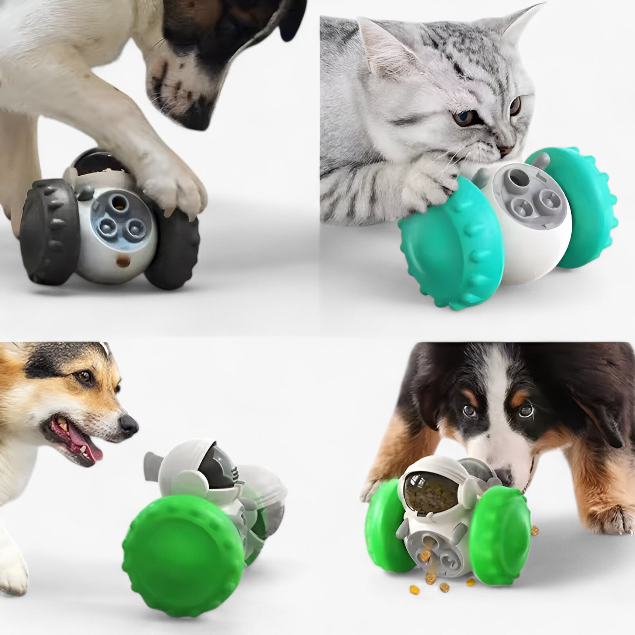 Buddy | Giocattolo Interattivo per Cani e Gatti con Dispenser di Cibo - - - Concept Palermo