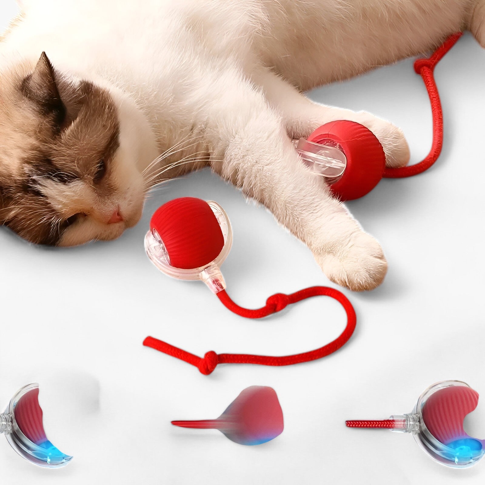 Luna | Palla da Gioco Sottile per Gatti - - Cat Pet supplies pet toys - Concept Palermo