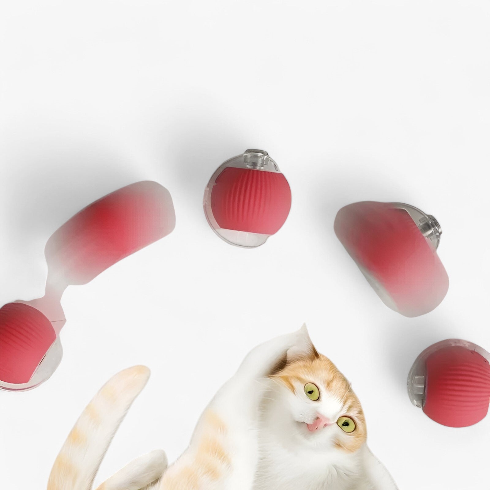 Luna | Palla da Gioco Sottile per Gatti - - Cat Pet supplies pet toys - Concept Palermo