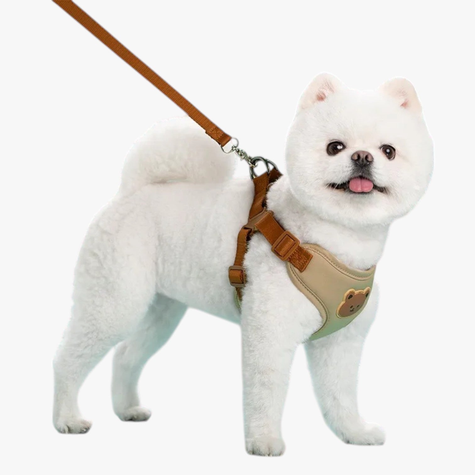 Navy | Pettorina Traspirante con Guinzaglio per Piccoli Animali - - pet petproduct Pets - Concept Palermo