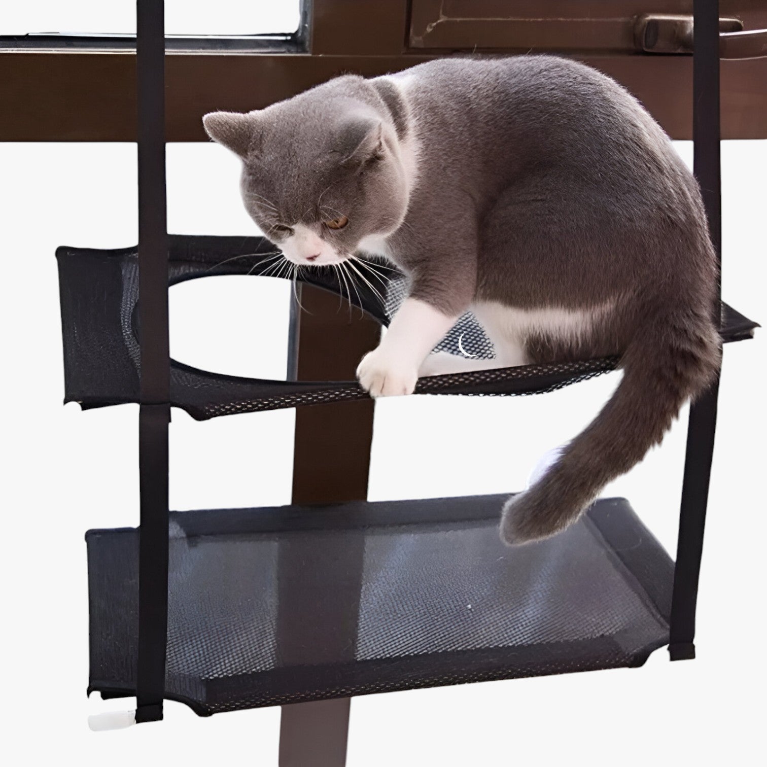 Simba | Lettiera per gatti Sunny Window - - pet PET SUPPLIES petproduct Pets - Concept Palermo