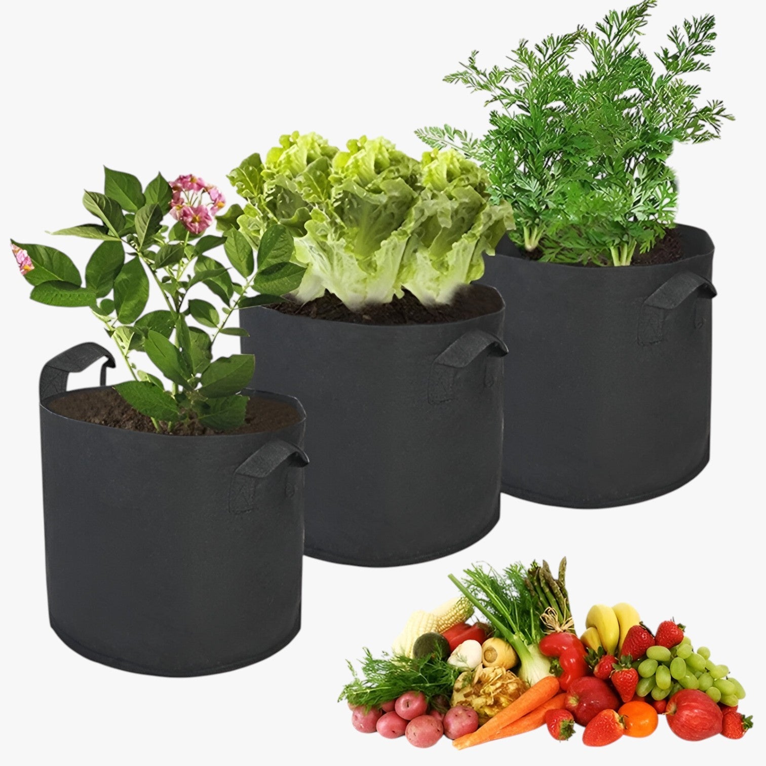 Genalyn | Sacco di coltivazione salvaspazio – Piante sane, facili da coltivare - - Garden Garden supplies Home & Garden - Concept Palermo