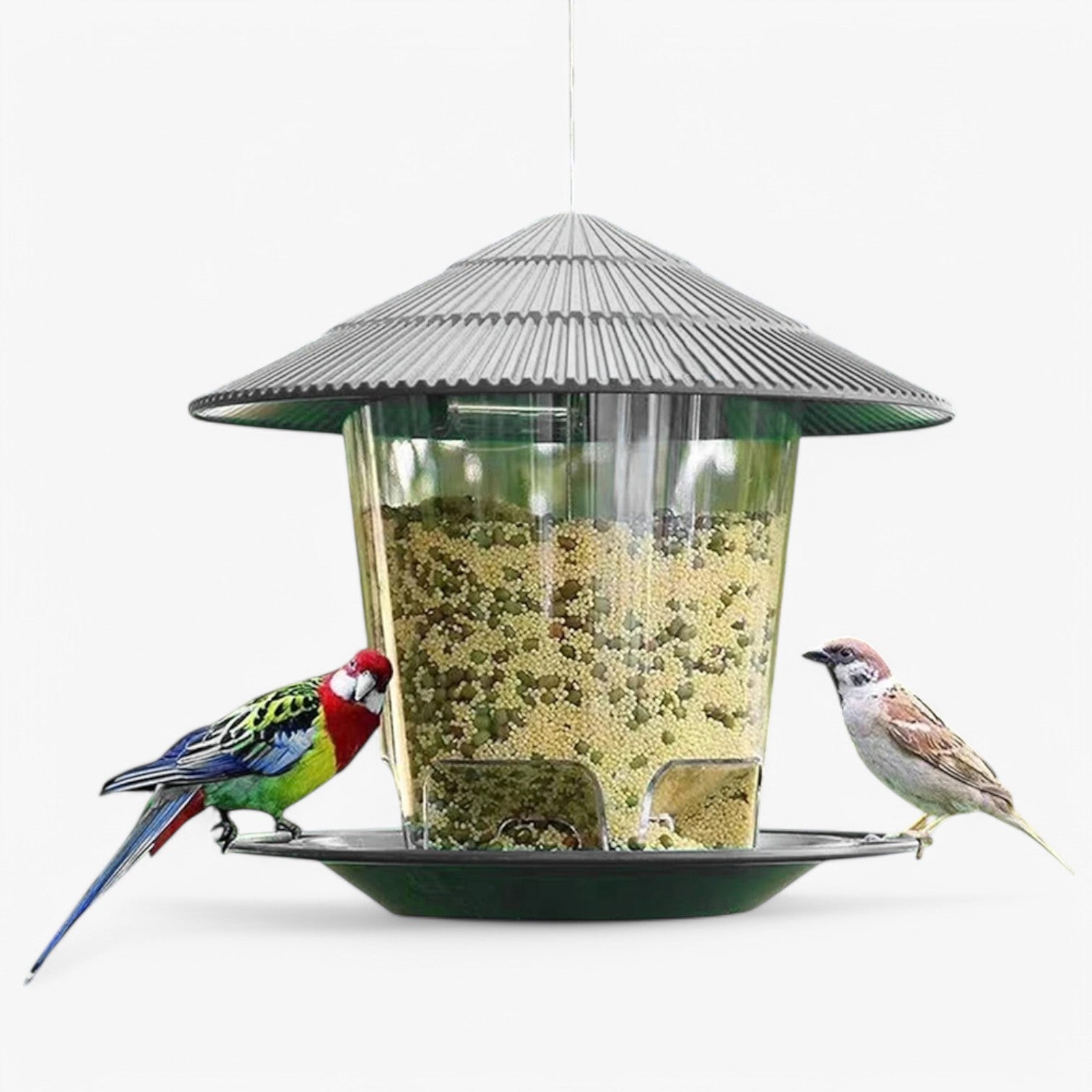 Darby | Porta cibo per uccelli - Facile da riempire e attrae gli uccelli - - pet pet accessories PET SUPPLIES - Concept Palermo