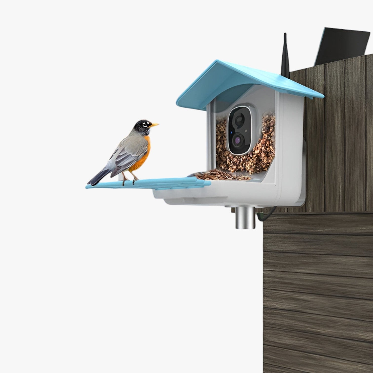 Levin | Sicurezza e Piacere per gli Uccelli – Telecamera solare con mangiatoia per uccelli - - camera gadget - Concept Palermo