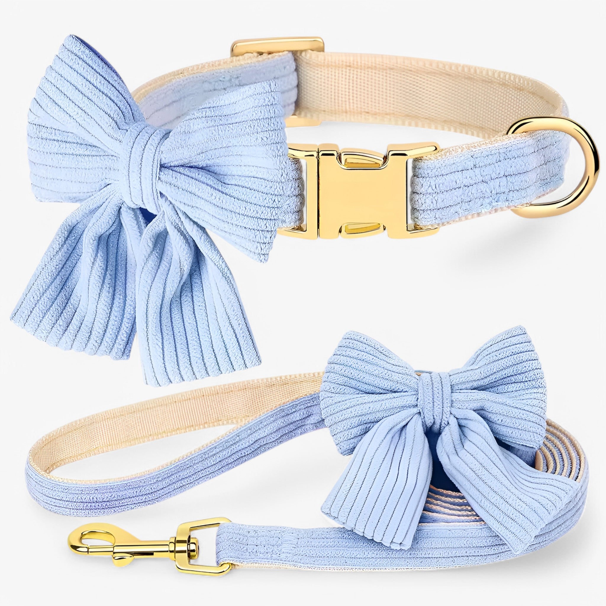 Luna | Set Collare e Guinzaglio Rosa Chiaro per Cani Piccoli e Medi - Blu - - Concept Palermo