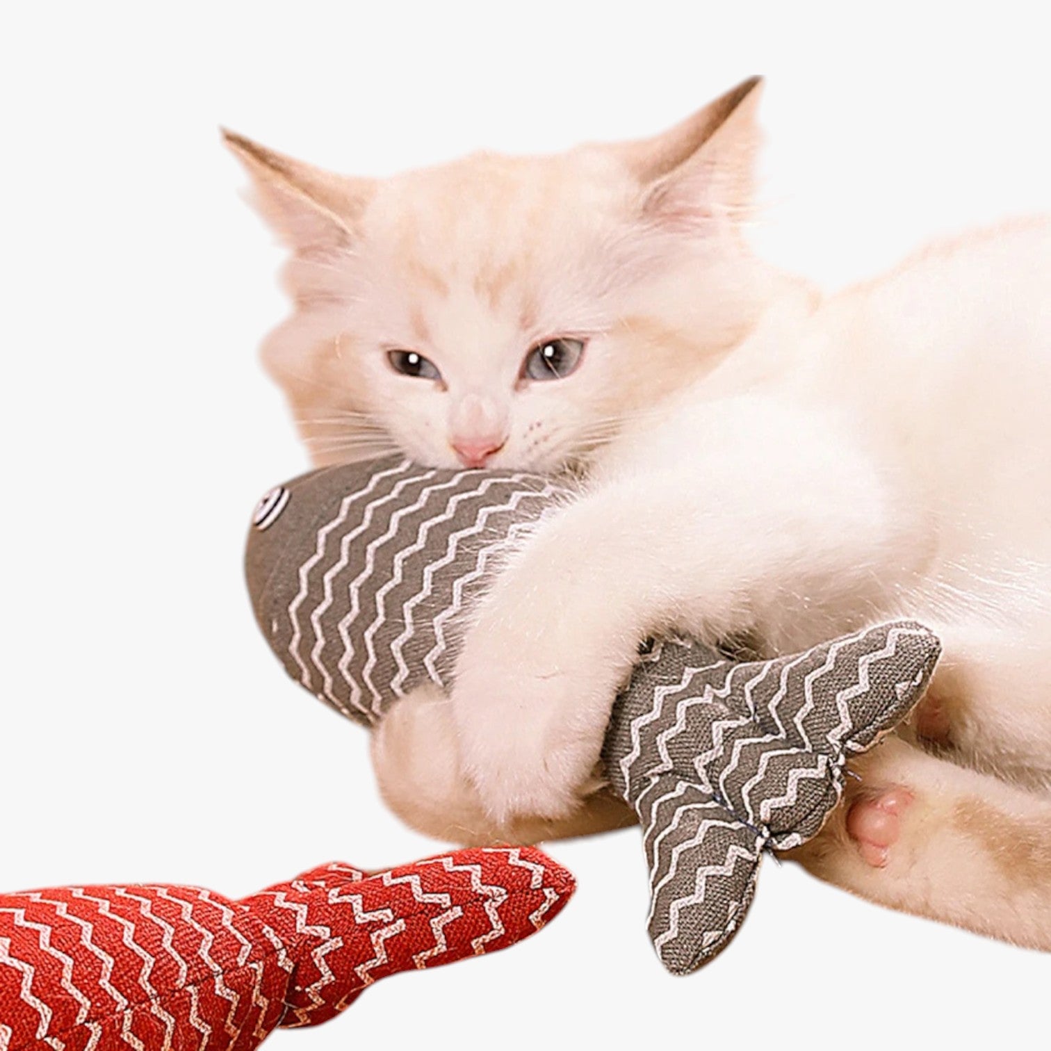 Sunny | Pesce Giocattolo in Canapa con Valeriana per Gatti - - pet pet toys petproduct - Concept Palermo
