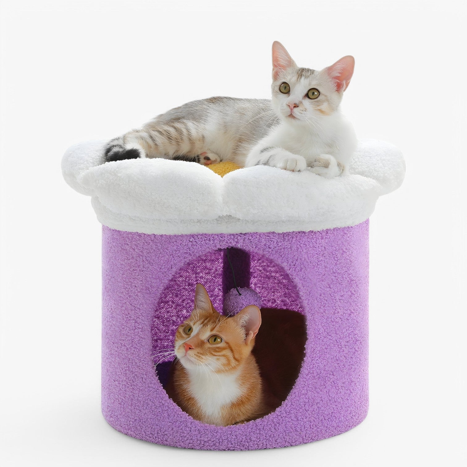 Polly | Rifugio per gatti carino con letto a fiori removibile - - cats pet PET SUPPLIES - Concept Palermo