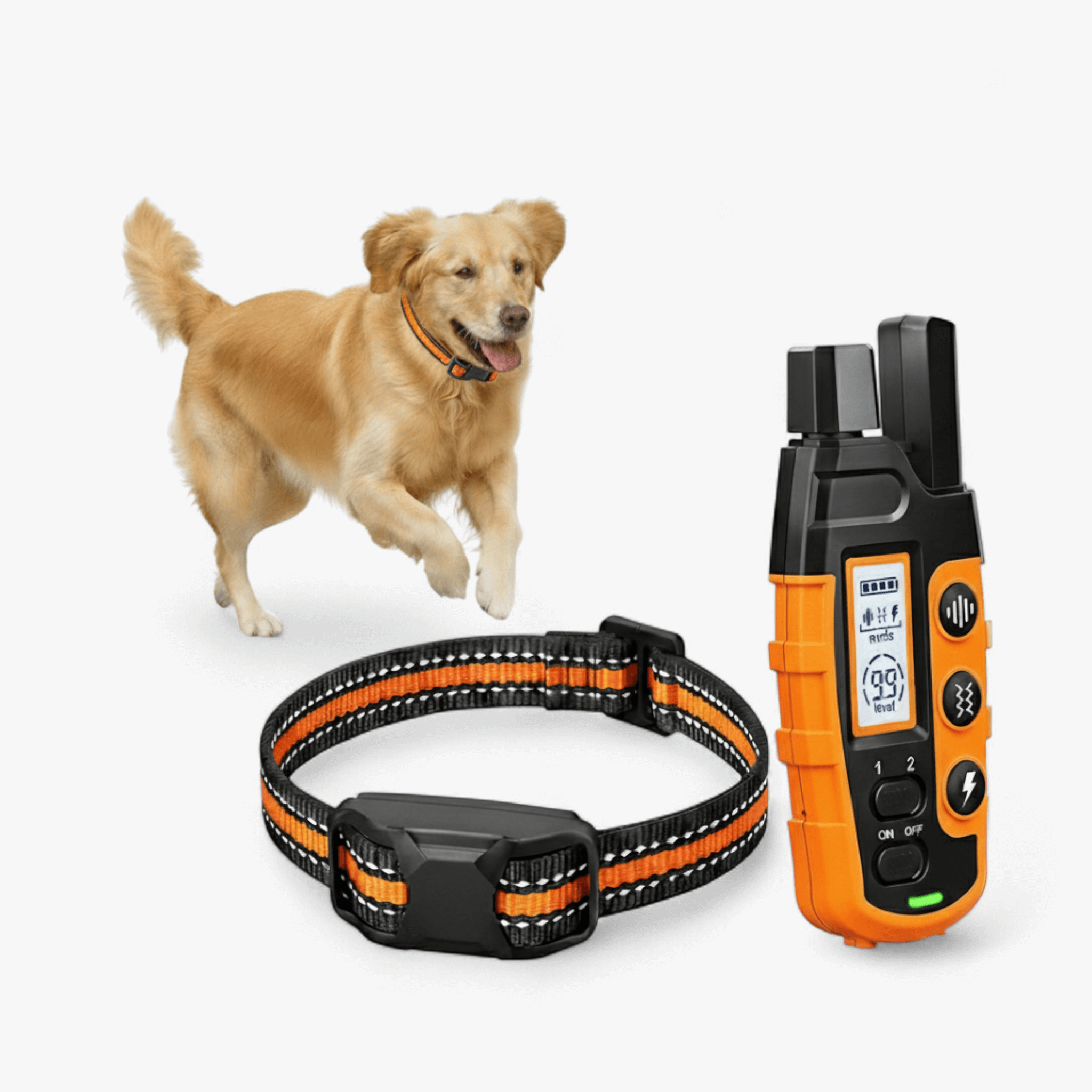 Collare per Cani Regolabile Efficace - Arancione - addestramento cani collare a lungo raggio collare a telecomando collare di dressage collare impermeabile collare per addestramento collare per cani collare regolabile funzione a doppio canale modality di stimolazione - Concept Palermo