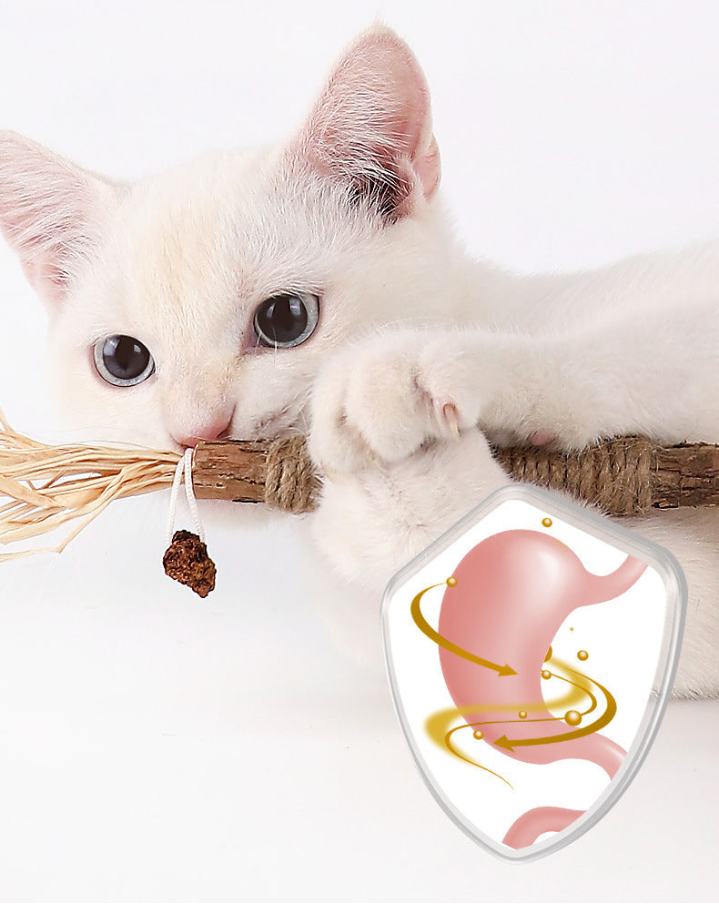 KittyBliss™ | Dai alla tua Gatta il Massimo Divertimento con il Grattatoio - - cat toys pet toys - Concept Palermo