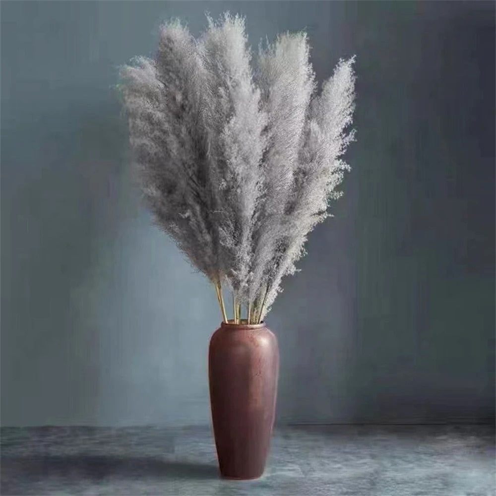 FeatherFawn - Fiori di pampa essiccati - - Decor home home decor - Concept Palermo