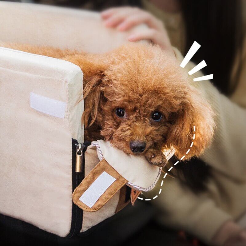 Seggiolino auto portatile per animali domestici - - Auto Autotechniek Autotoebehoren Dieren Dierenaccessoires Huisdierbenodigdheden Huisdieren Huisdierverzorging Voertuig - Concept Palermo