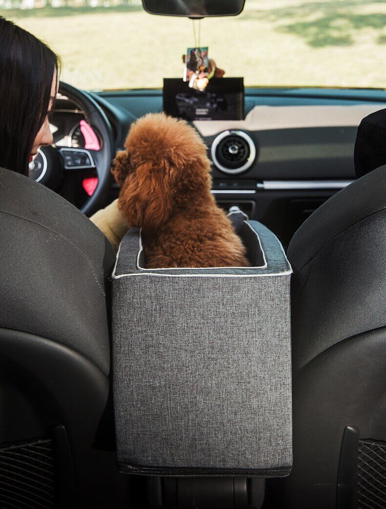 Seggiolino auto portatile per animali domestici - - Auto Autotechniek Autotoebehoren Dieren Dierenaccessoires Huisdierbenodigdheden Huisdieren Huisdierverzorging Voertuig - Concept Palermo