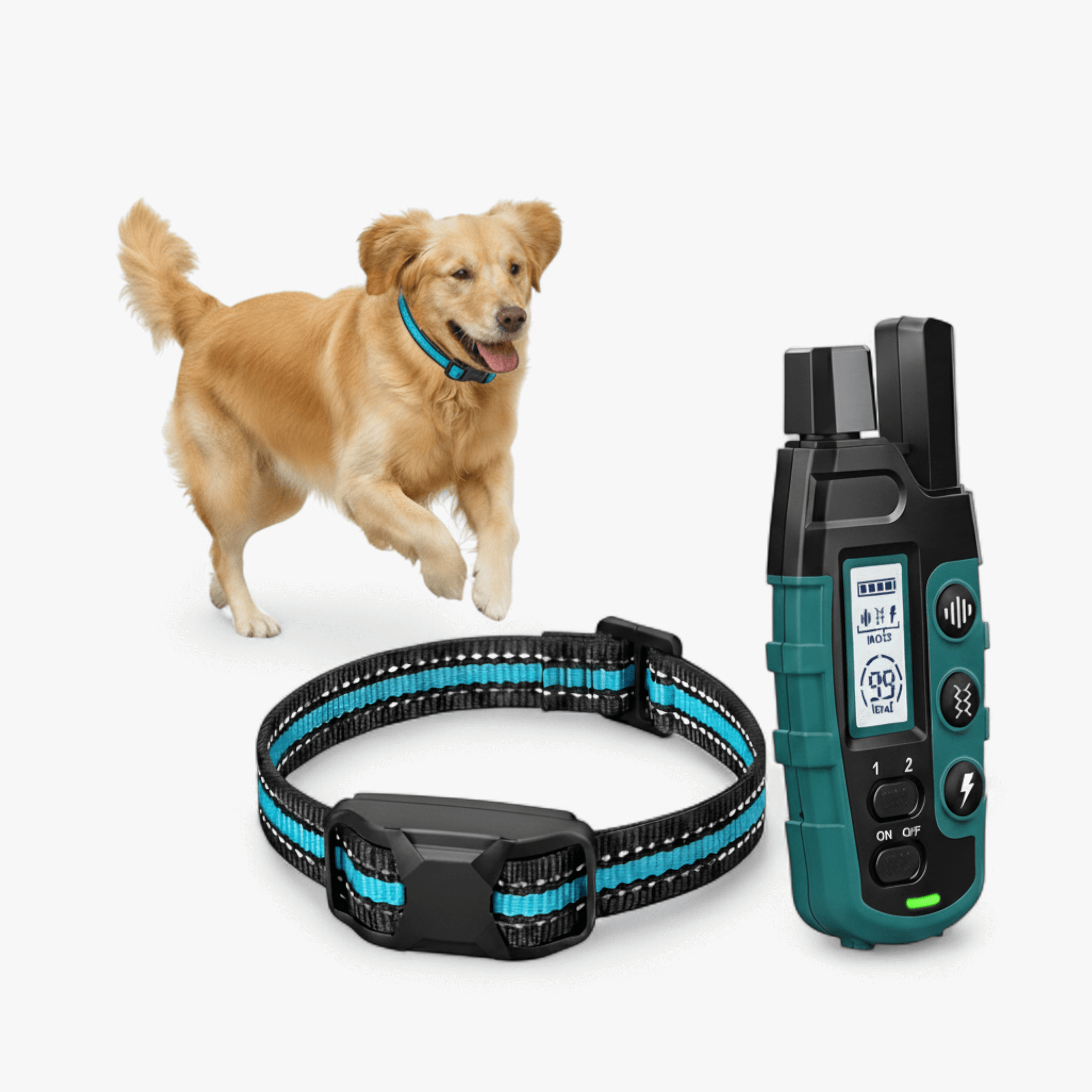 Collare per Cani Regolabile Efficace - Blu - addestramento cani collare a lungo raggio collare a telecomando collare di dressage collare impermeabile collare per addestramento collare per cani collare regolabile funzione a doppio canale modality di stimolazione - Concept Palermo