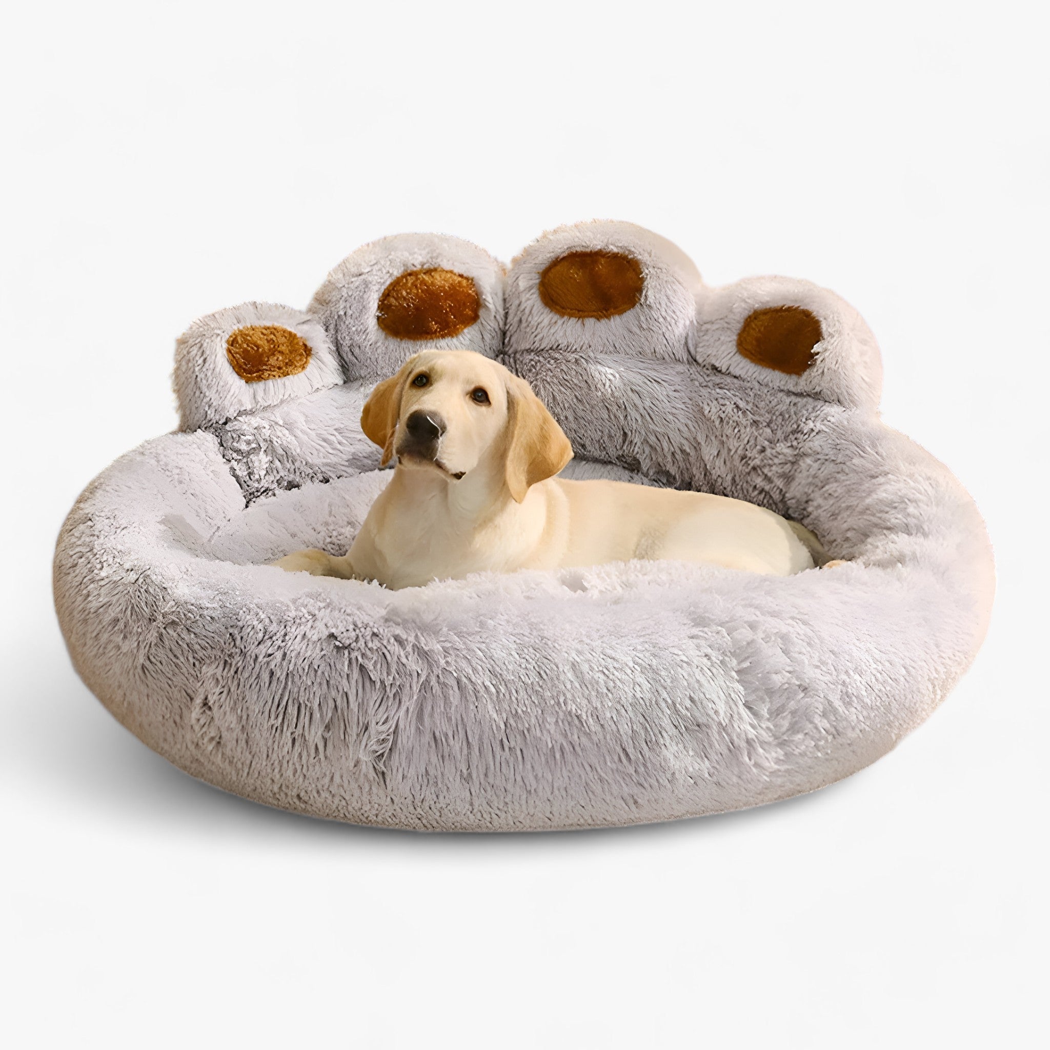 CozyPaws | Elegante Poltrona Letto per Animali - Posto Ideale per Coccole per i Vostri Cuccioli e Gatti - - pet - Concept Palermo