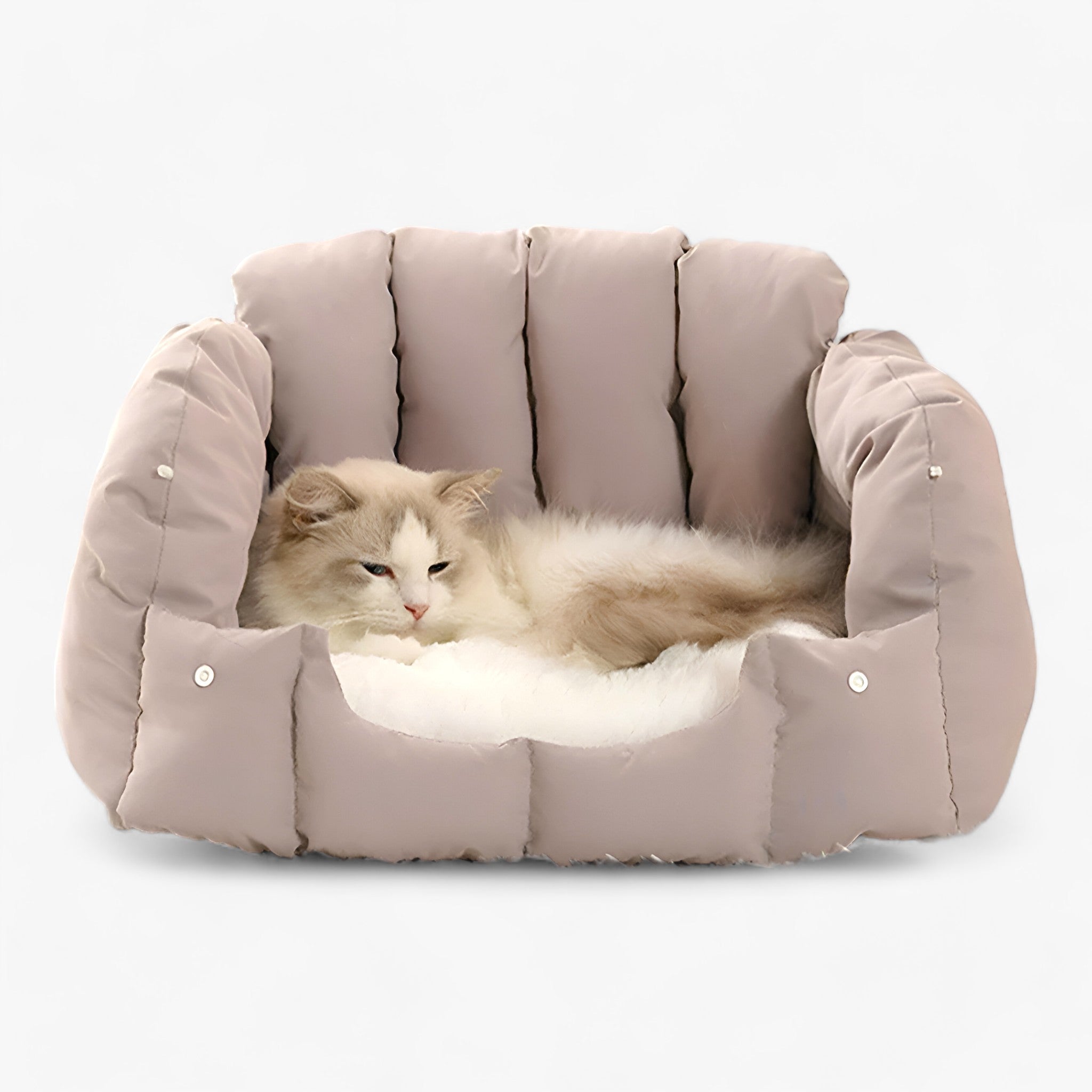 Letto per gatti a forma di arco di DOUILLET - Il rifugio perfetto per il massimo comfort dei vostri amici felini! - - pet - Concept Palermo