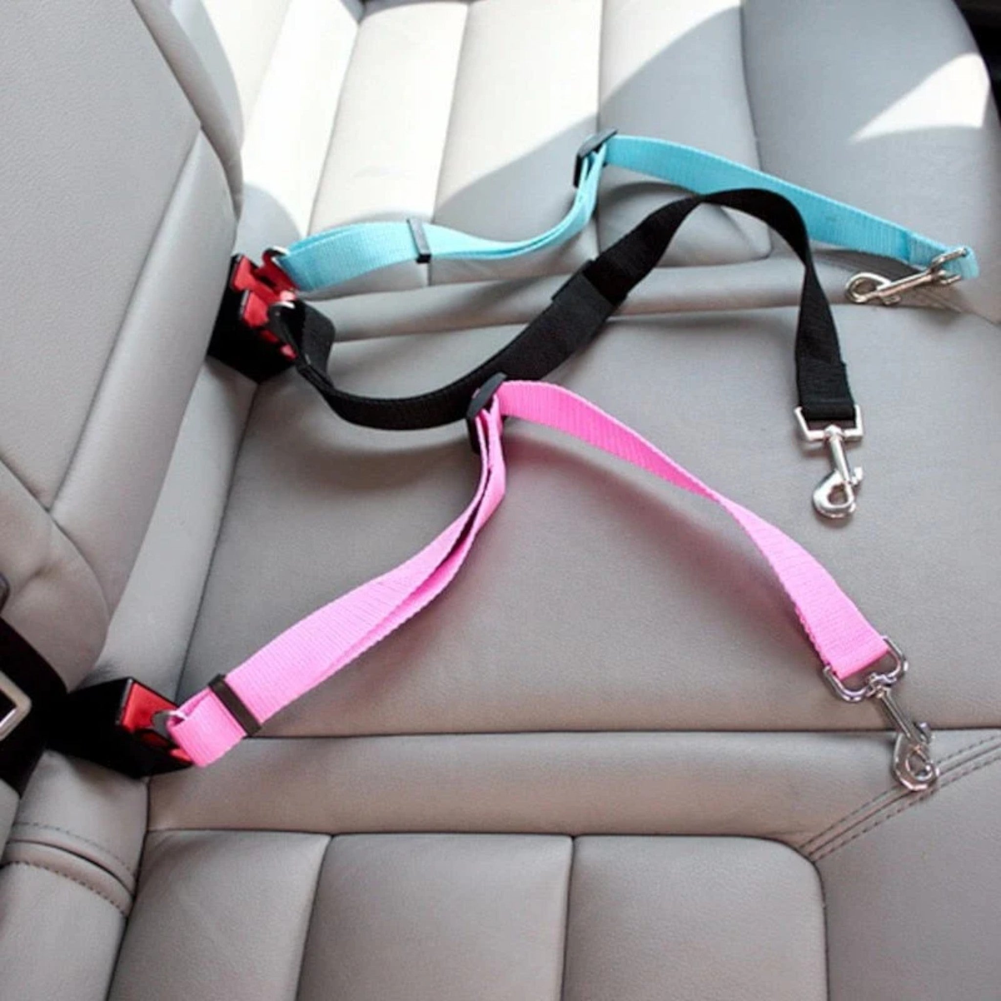 Cintura di sicurezza per cani | Anche il tuo quadrupede ora si trova al sicuro in auto! - - car seatbelt dog car seatbelt - Concept Palermo