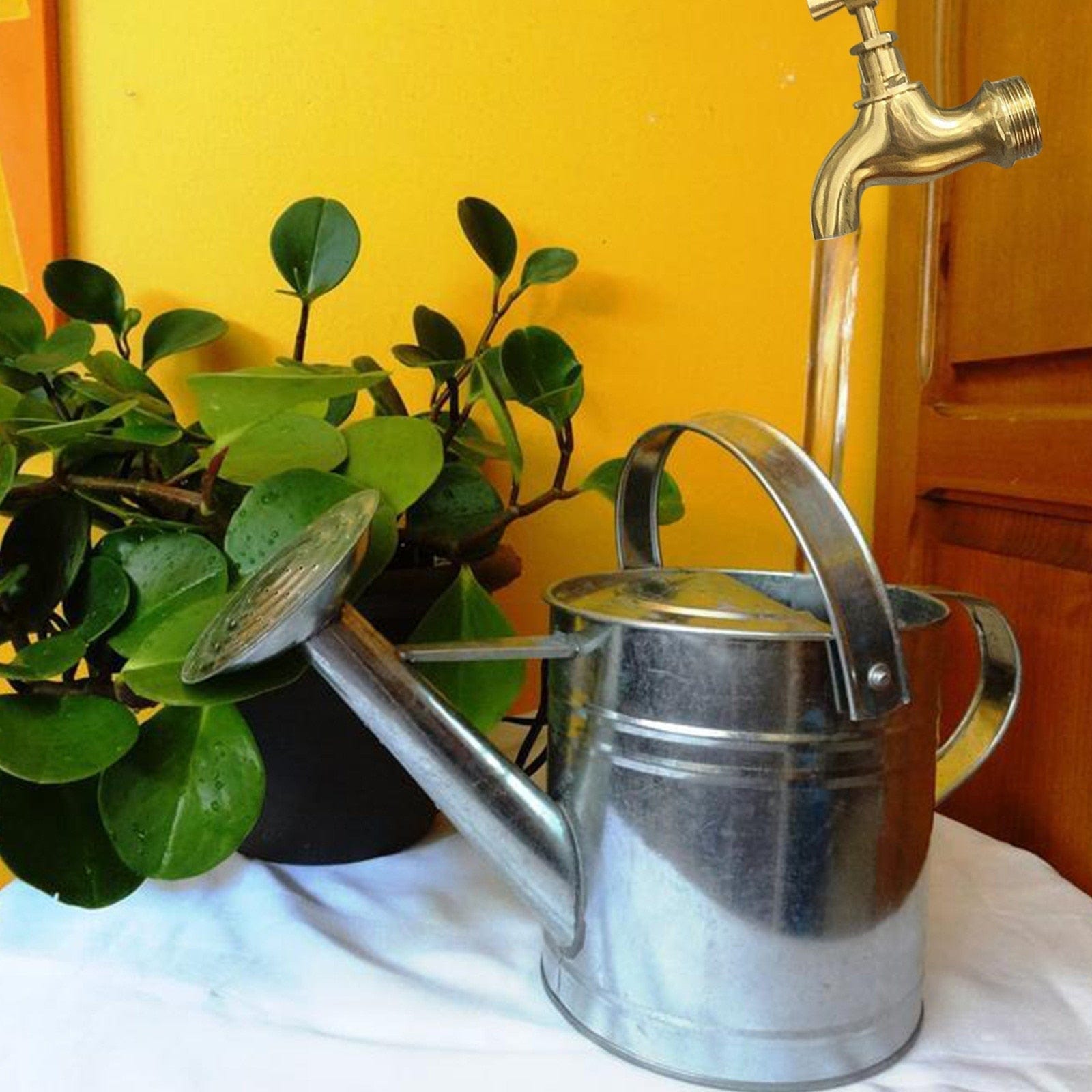 Wondertap™ Rubinetto magico - Decorazione unica per la casa e il giardino - - Faucets garden faucet graden hose hose Huis & Tuin - Concept Palermo